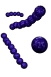 streptococcus image